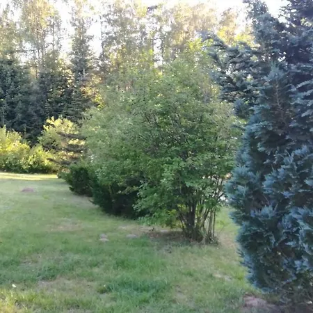 Przyczepa * Galezow