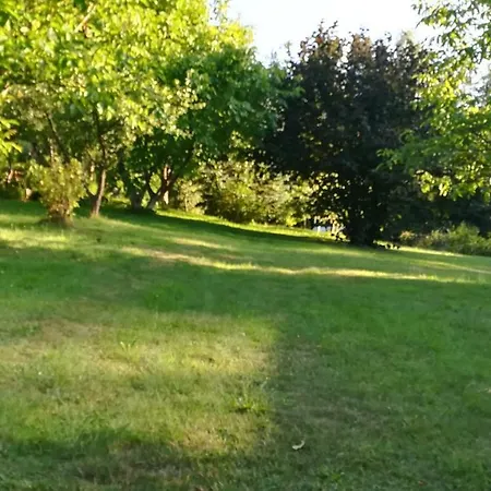Przyczepa * Galezow