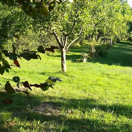 Przyczepa *